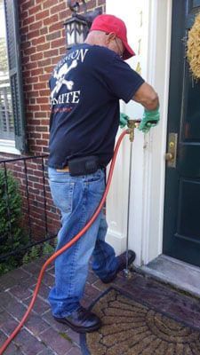Pest control Pest control