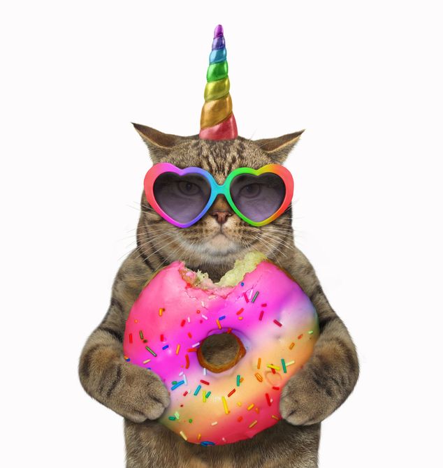 GUARDERIA PARA GATOS MIAUWOW