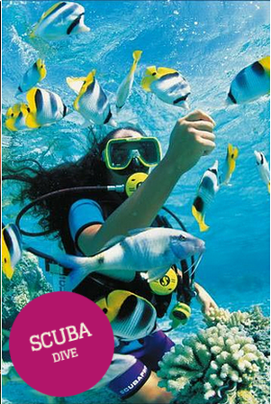 Scuba diving