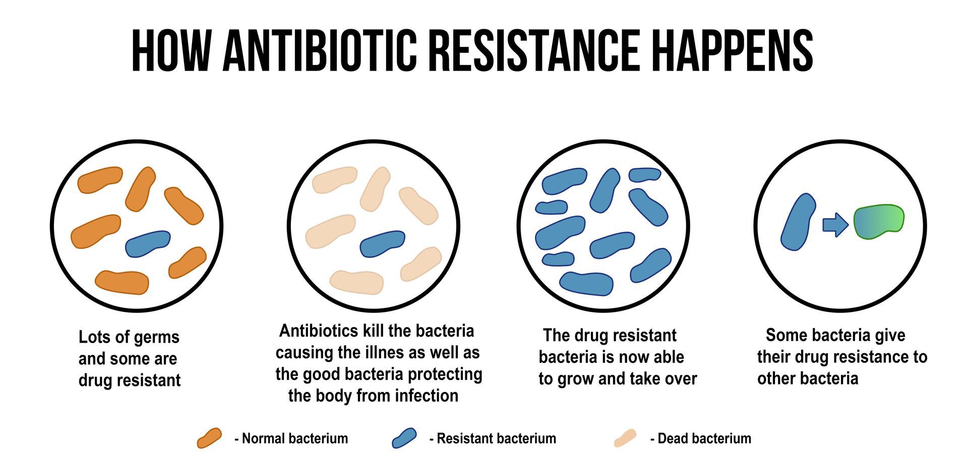 antibiotic resistance