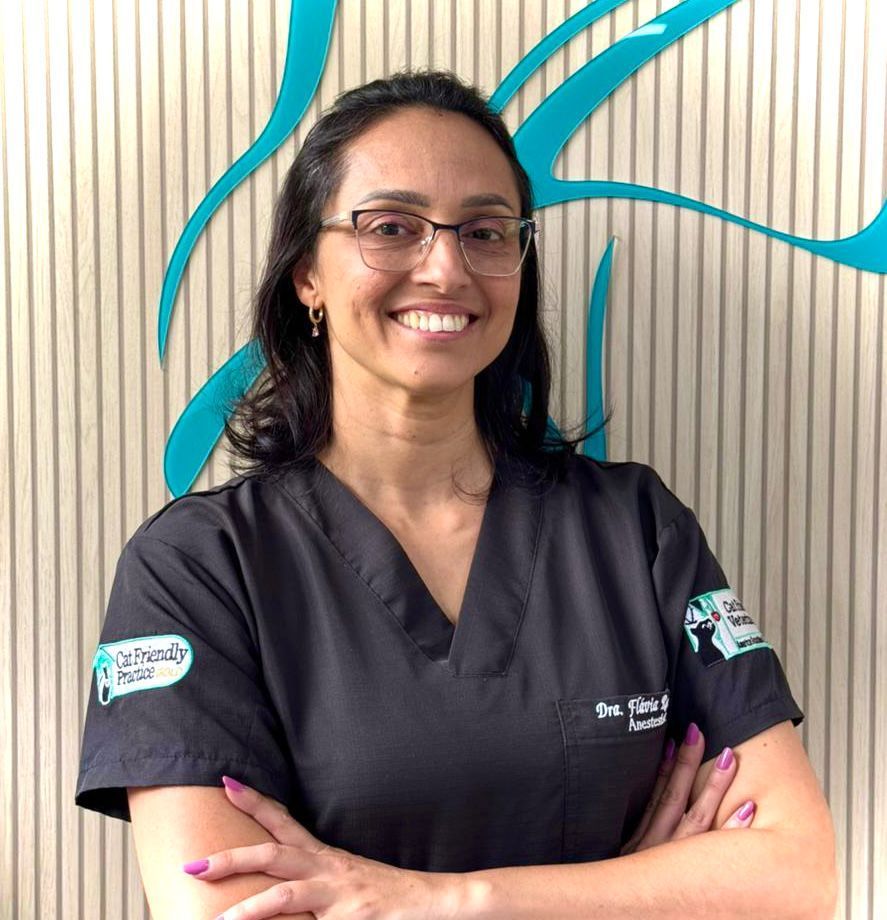 Hospital Gattare | Especializado em Felinos | 24h