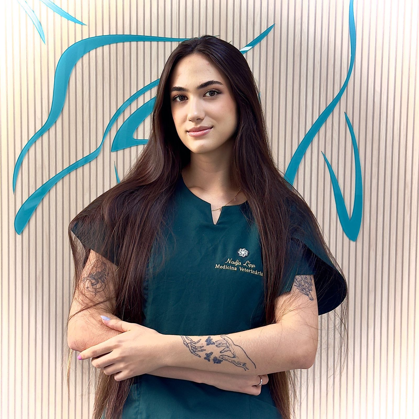 Hospital Gattare | Especializado em Felinos | 24h