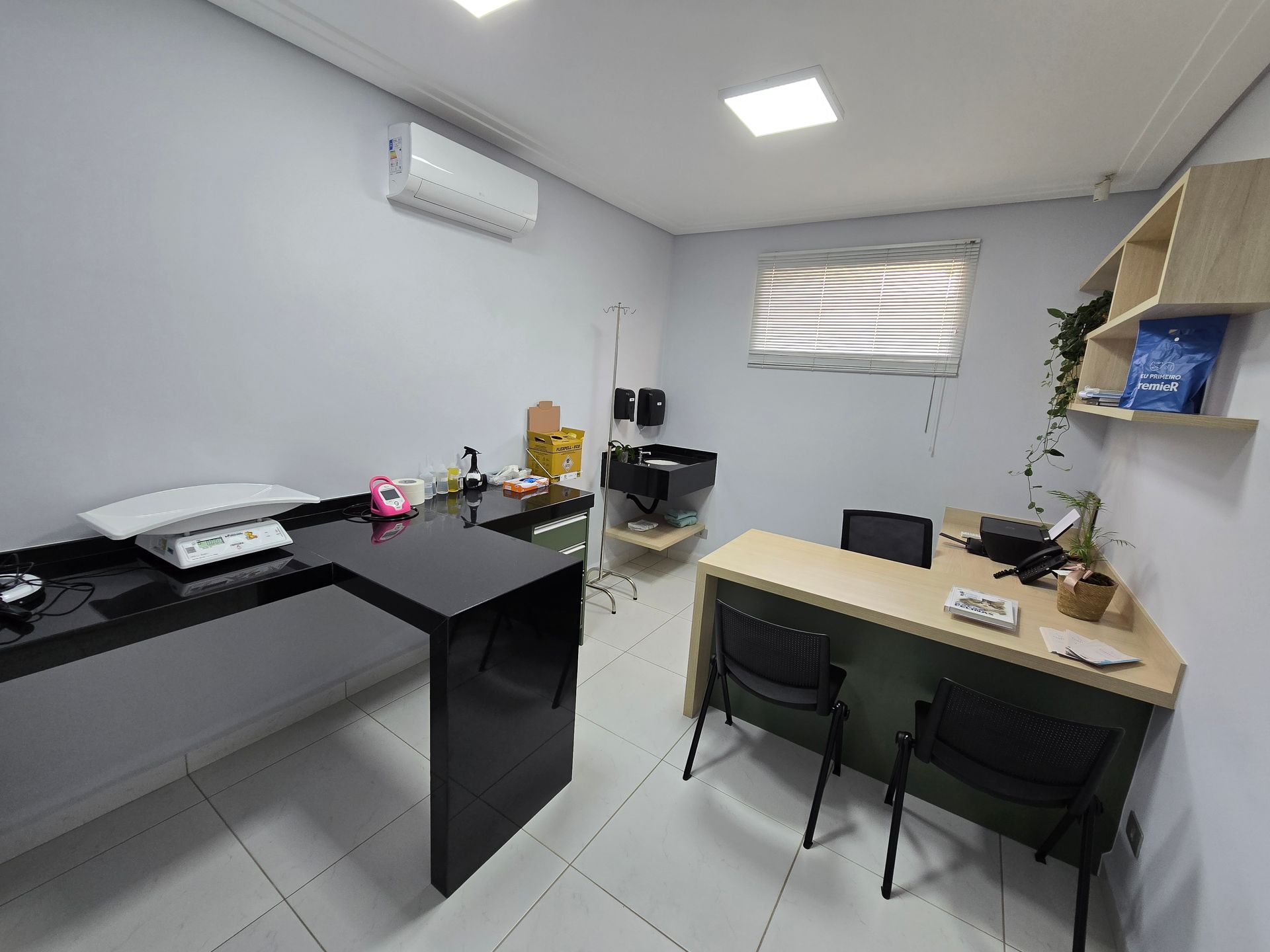 Hospital Gattare | Especializado em Felinos | 24h