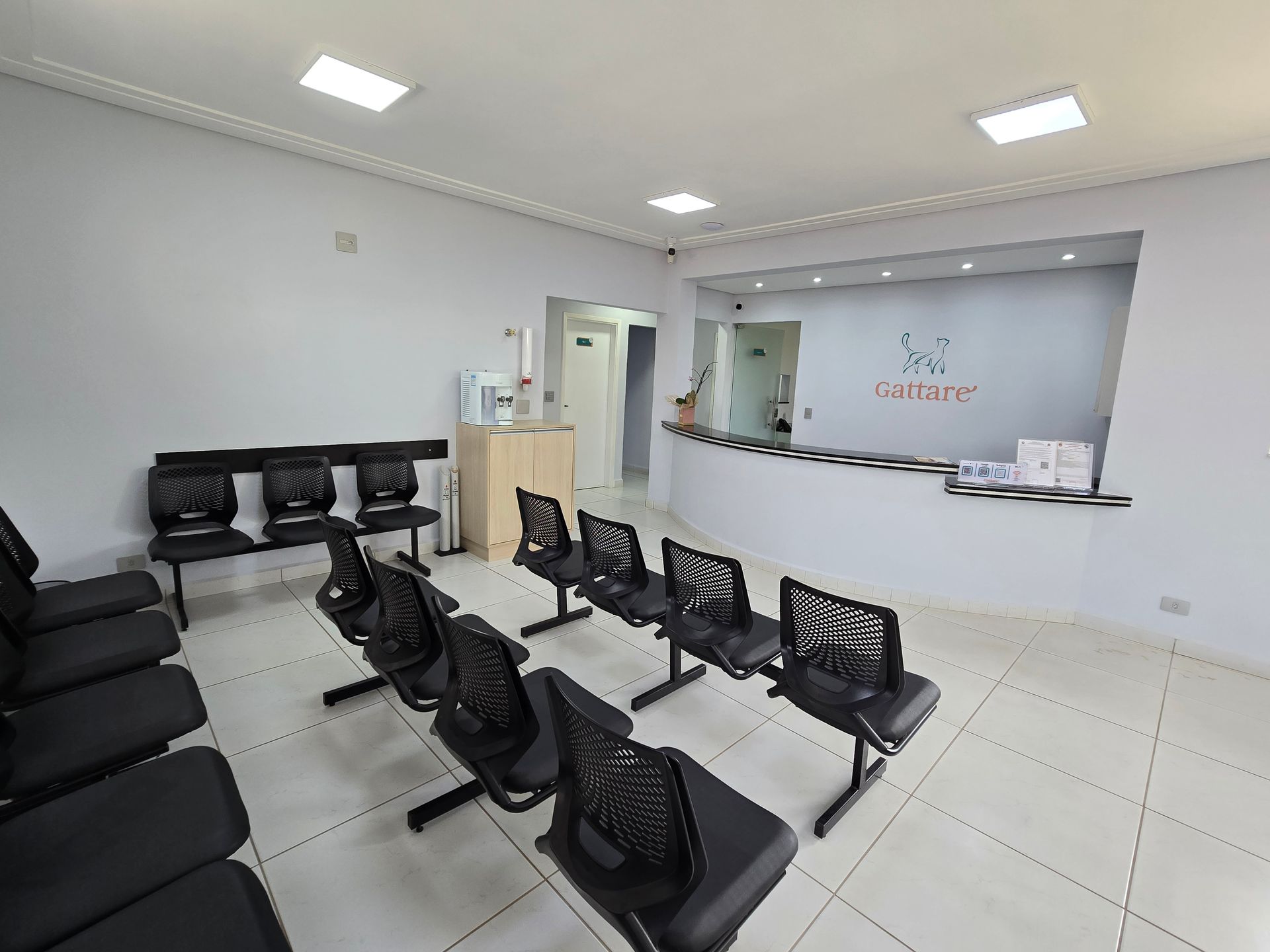 Hospital Gattare | Especializado em Felinos | 24h