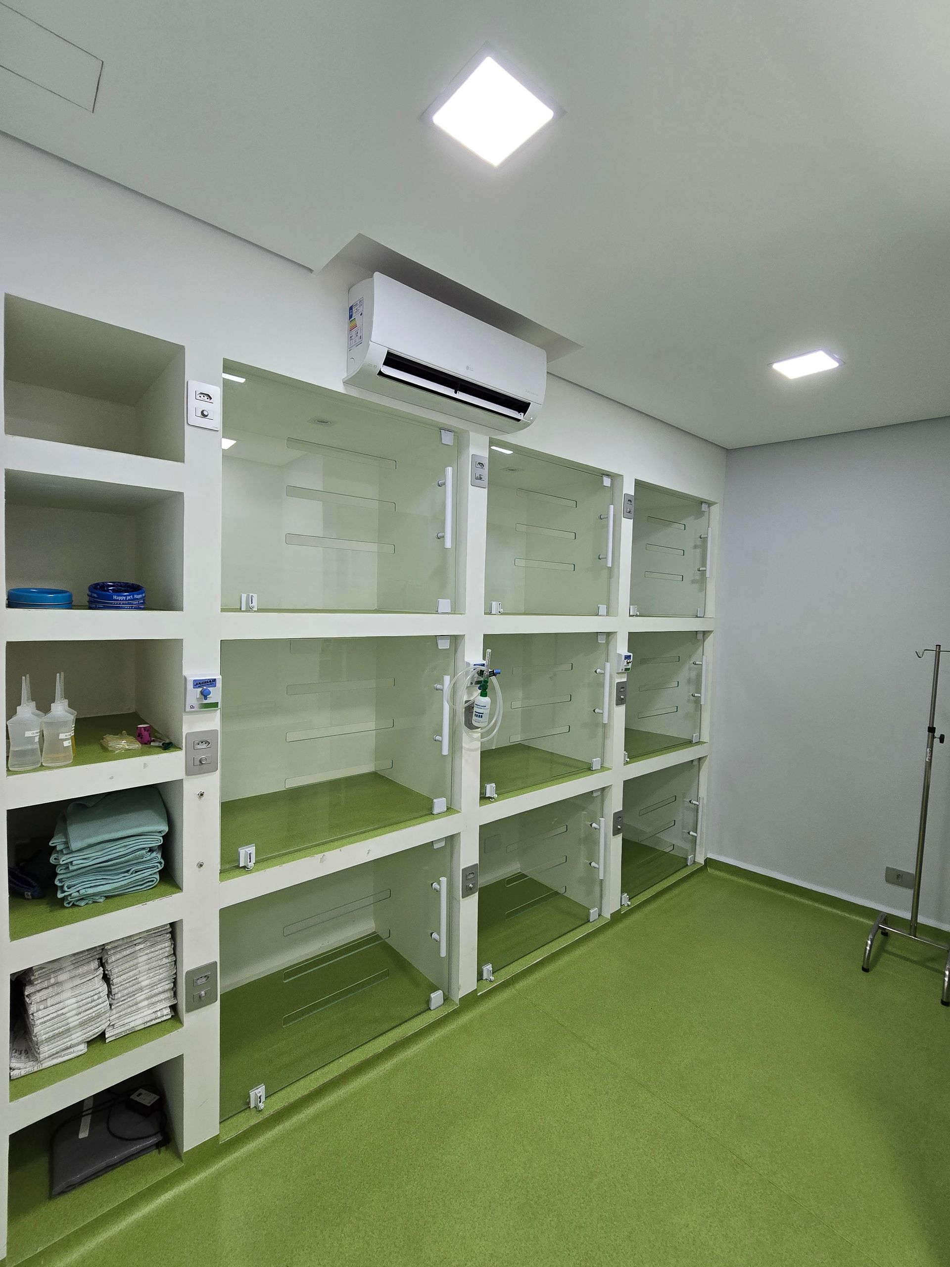 Hospital Gattare | Especializado em Felinos | 24h