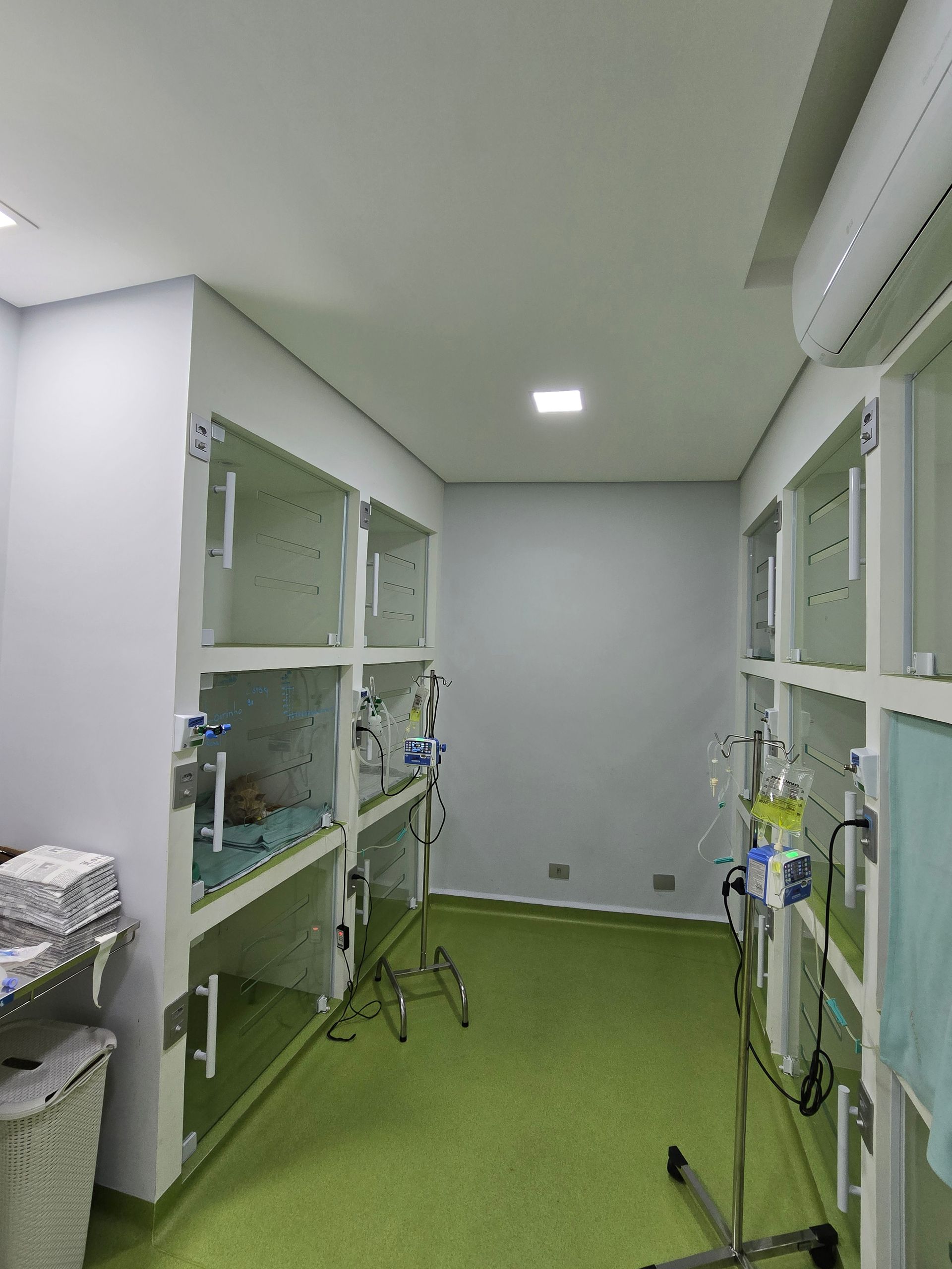 Hospital Gattare | Especializado em Felinos | 24h