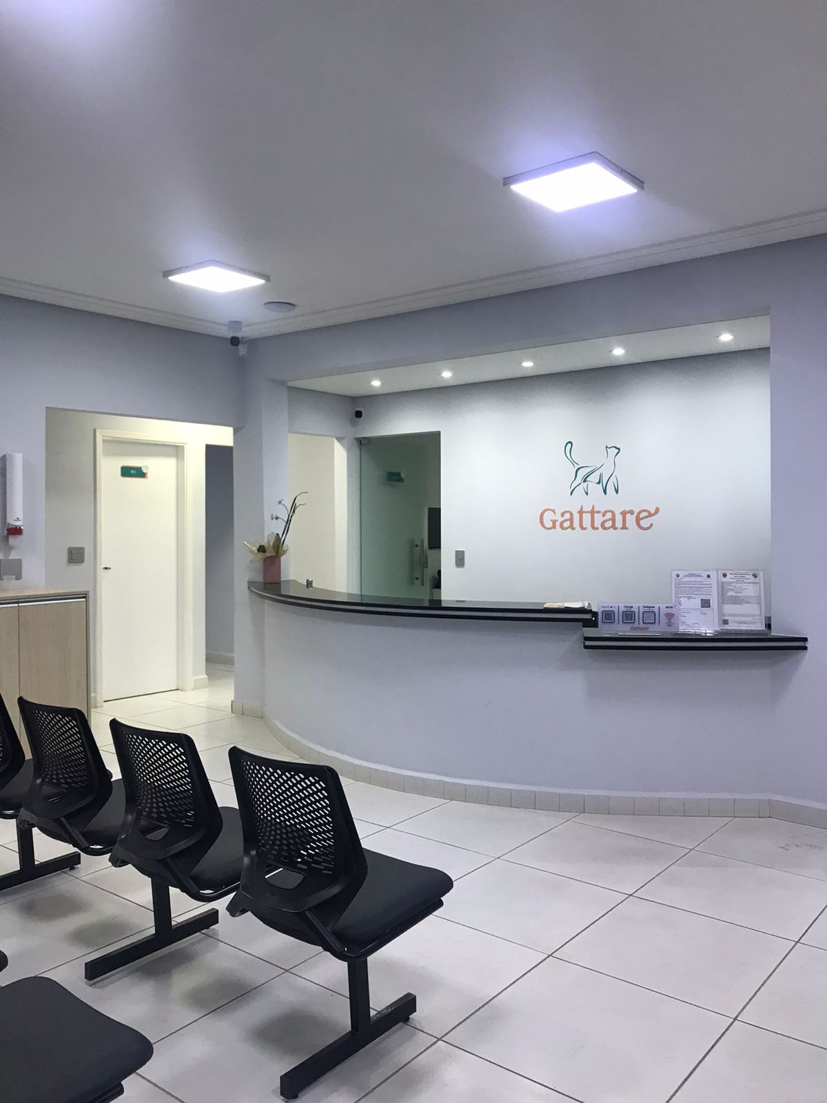 Hospital Gattare | Especializado em Felinos | 24h