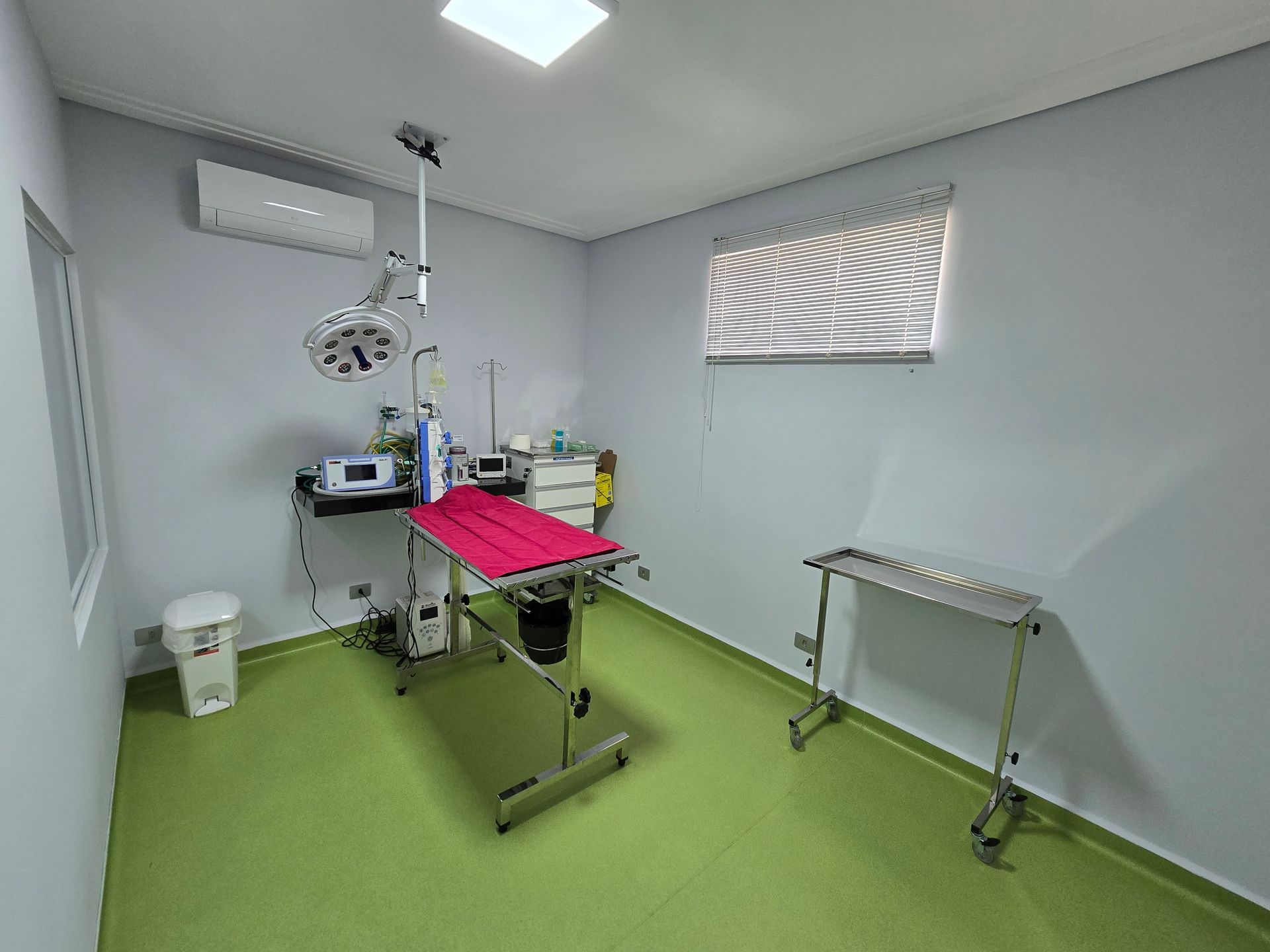 Hospital Gattare | Especializado em Felinos | 24h