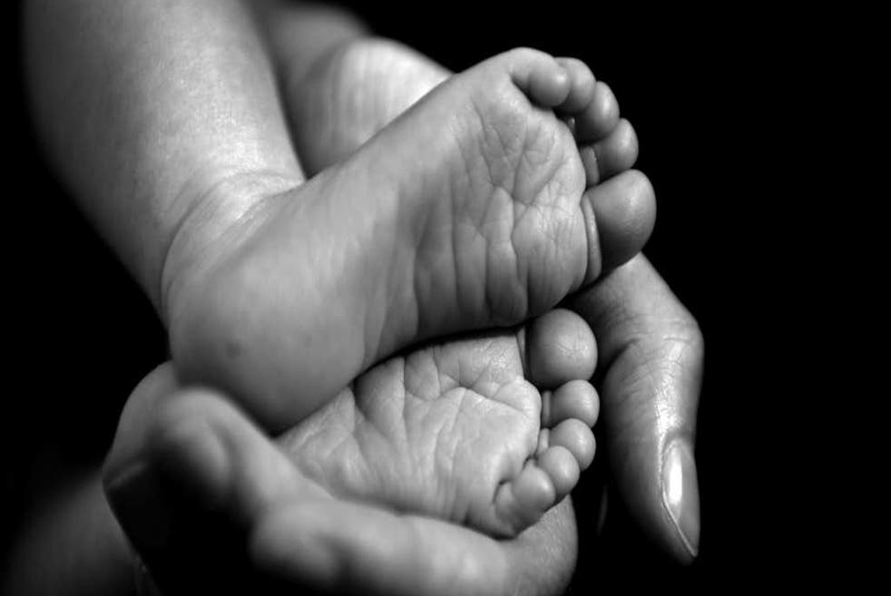 Infertility Services