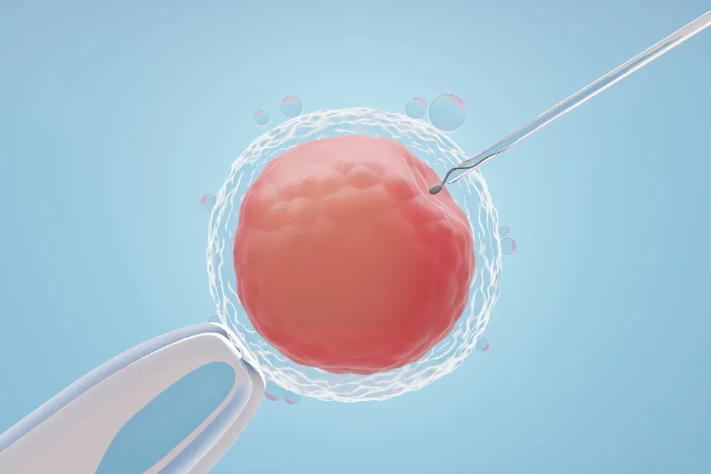 Fertility specialist explaining IUI treatment to a patient  at Precision IVF in Dallas