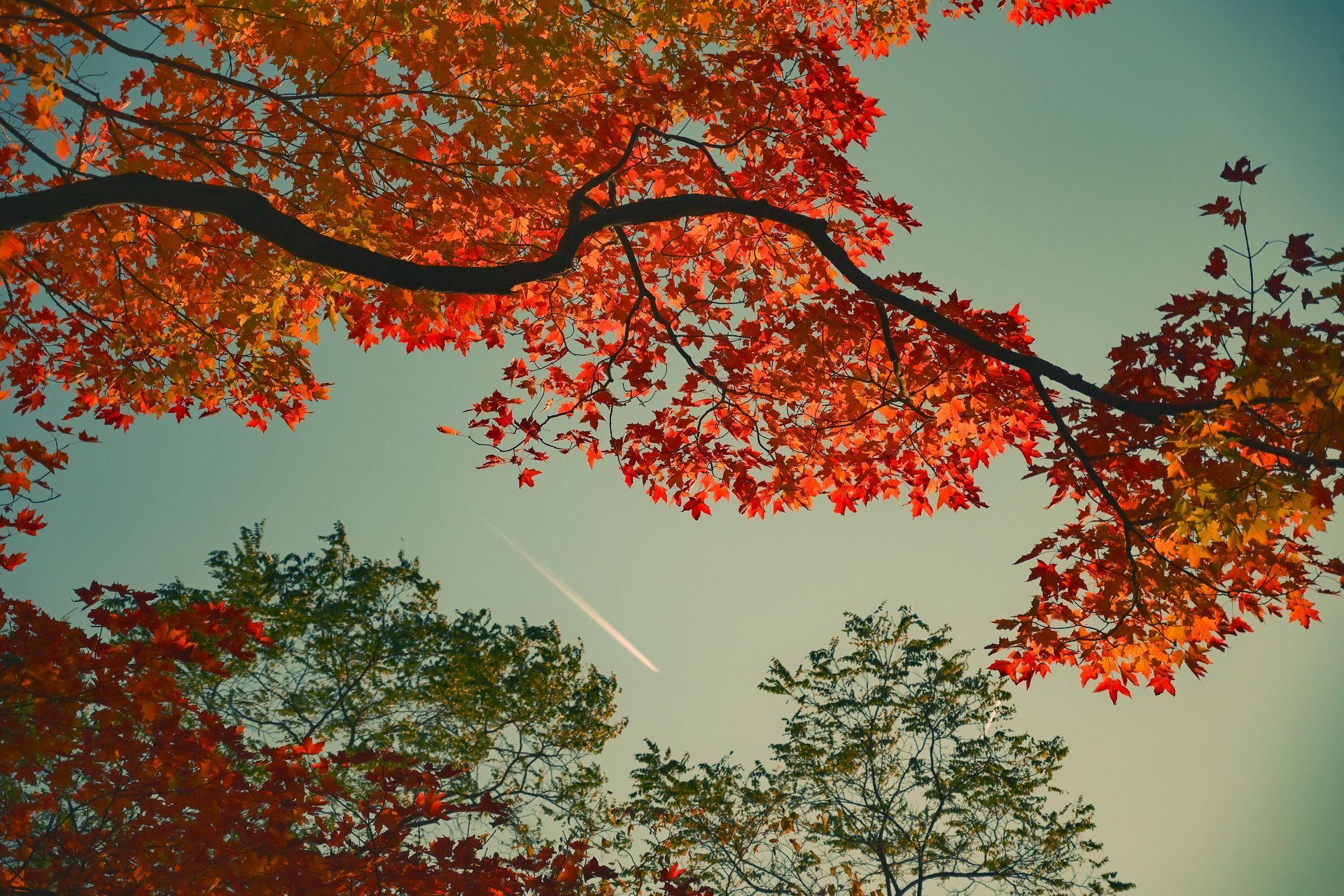 秋日裡誕生的溫柔勇氣