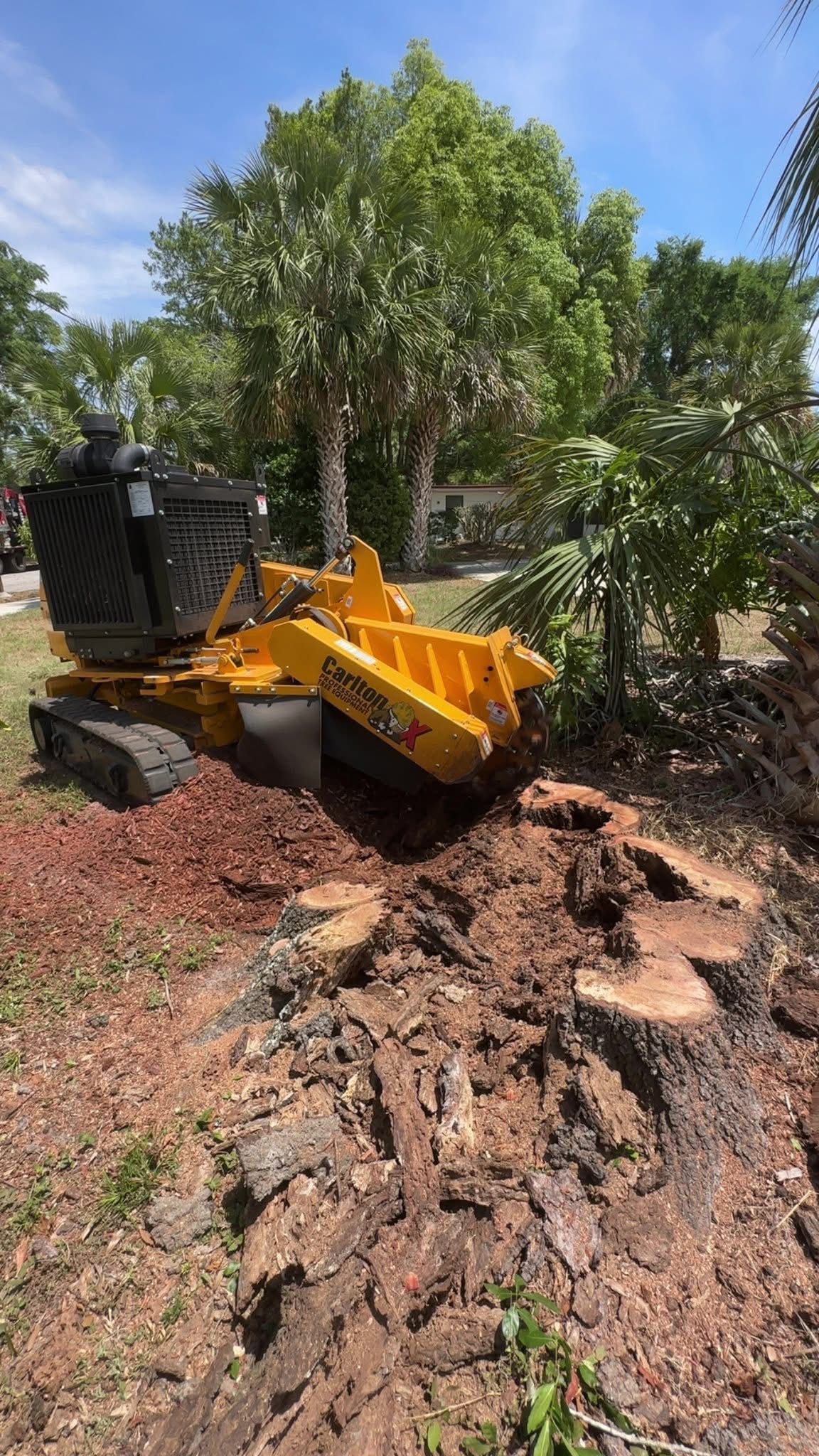 Stump Removal