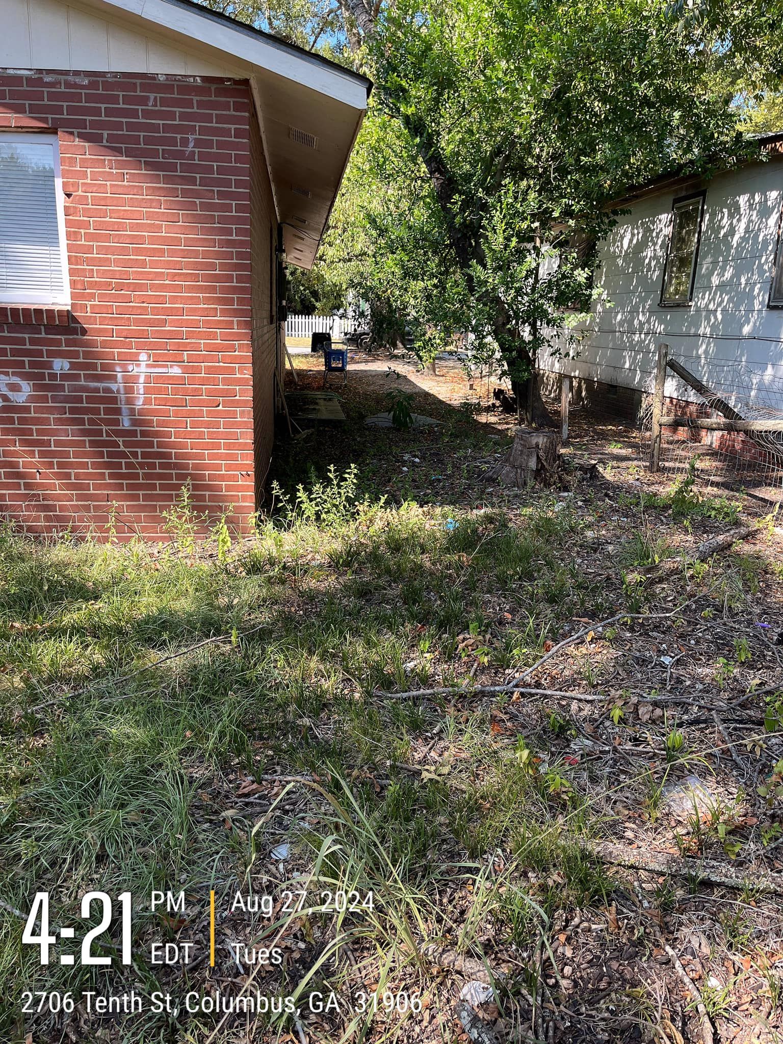 Professional Lawn Mowing