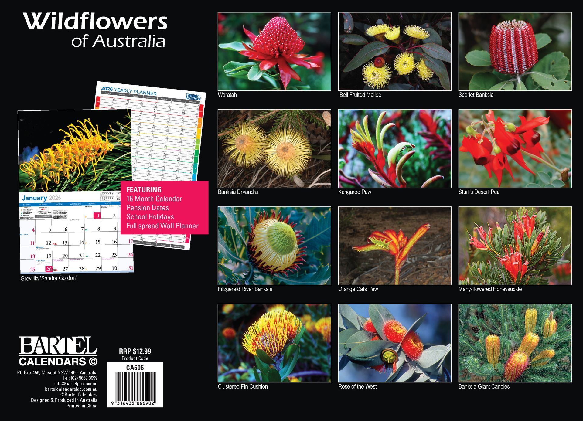 Calendar 2026 335x242mm Wildflowers of Australia