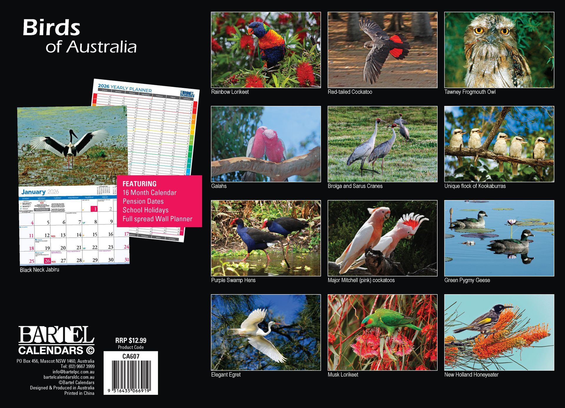 Calendar 2026 335x242mm Birds of Australia
