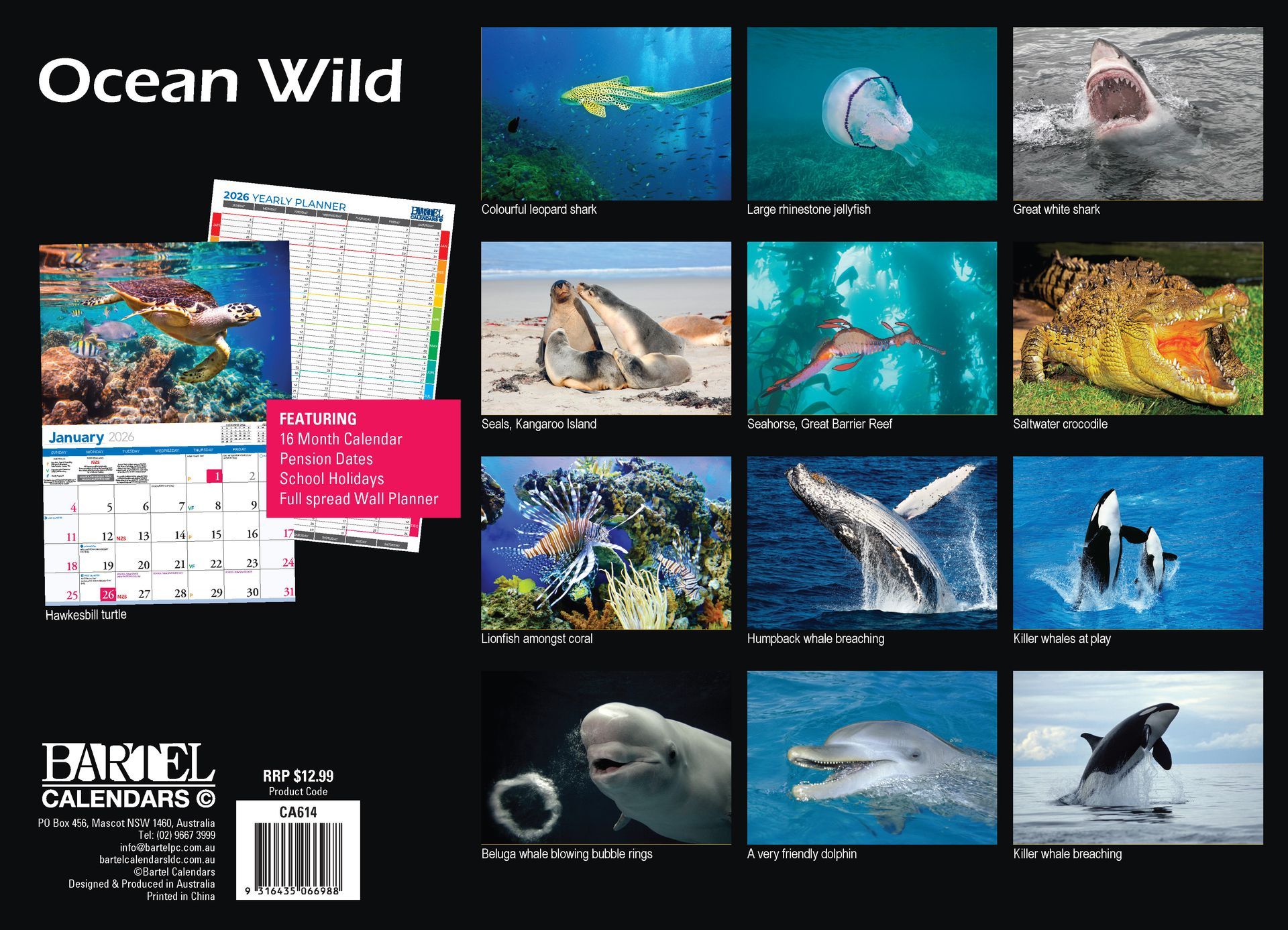 Calendar 2026 335x242mm Ocean Life