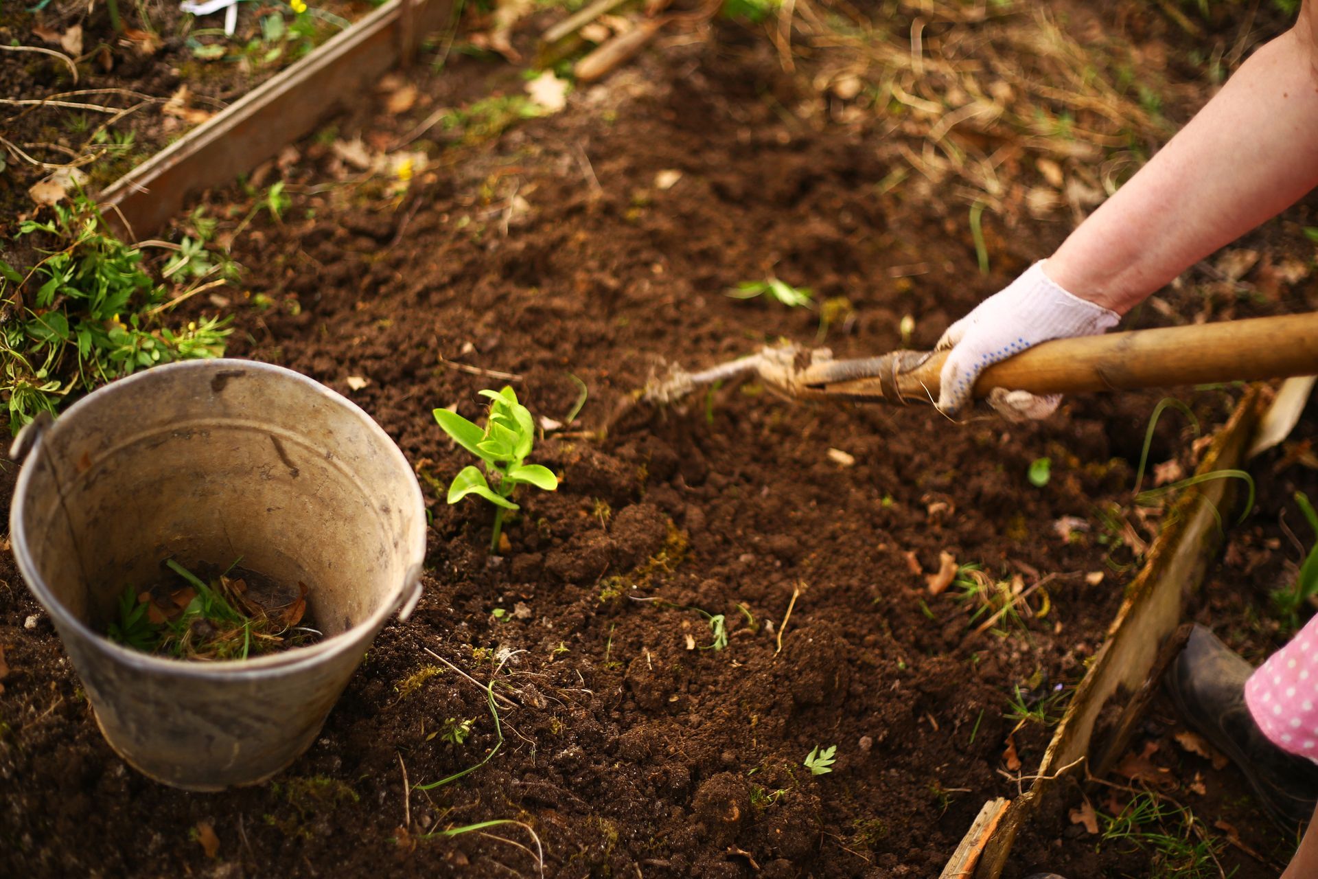 Person working in a garden, digging soil, associated with clay supply solutions in Lafayette, IN.