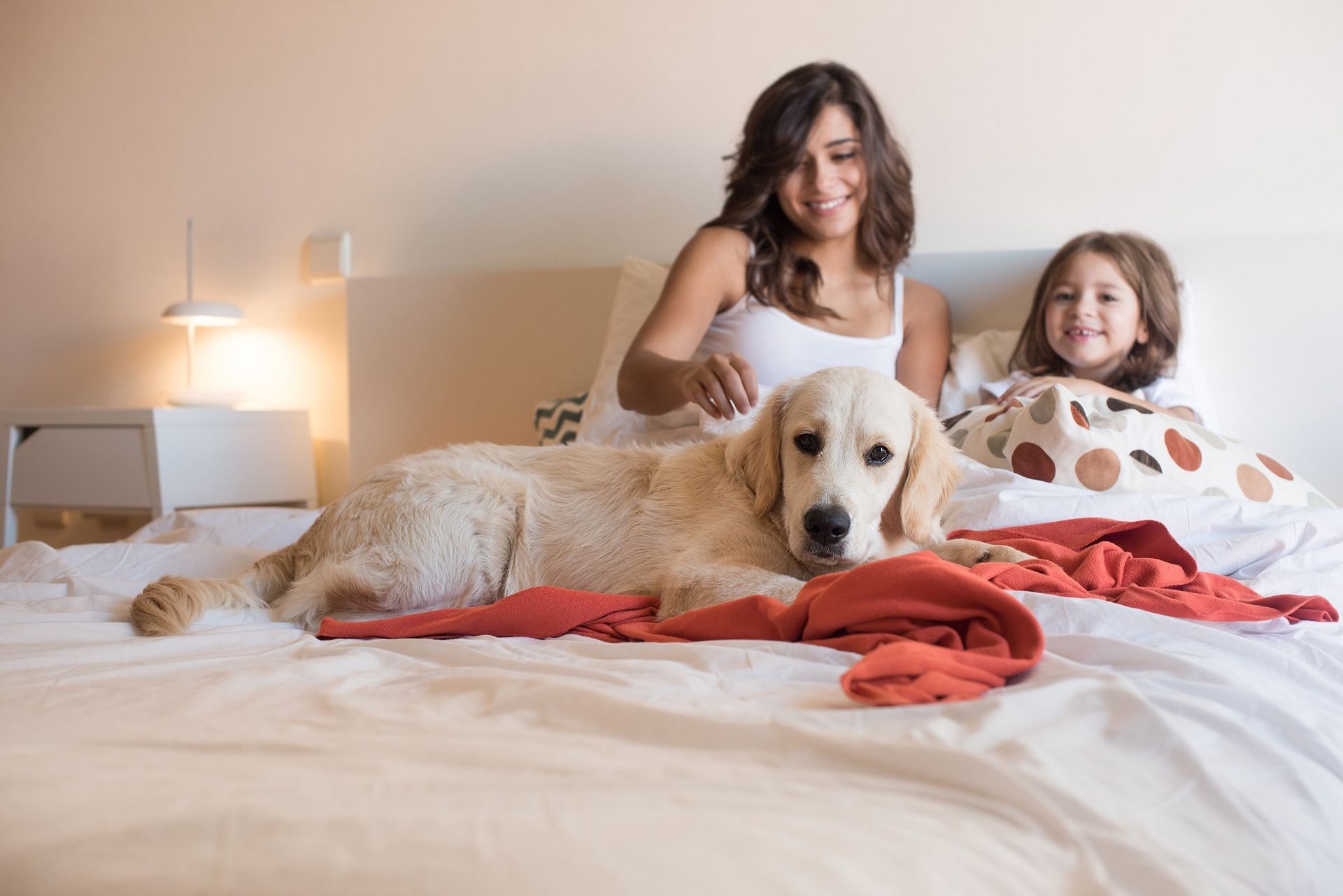 fully furnished homes