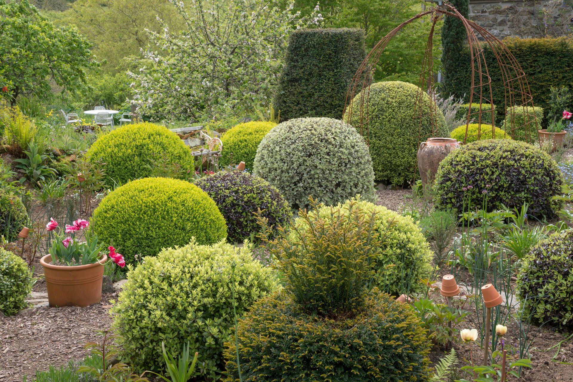 Un giardino pieno di tanti cespugli e fiori