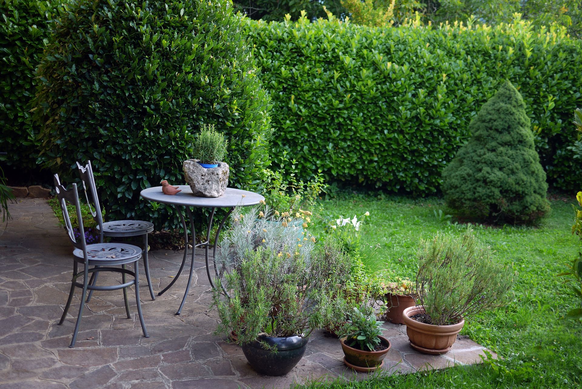 Un tavolo e sedie in un giardino con piante in vaso