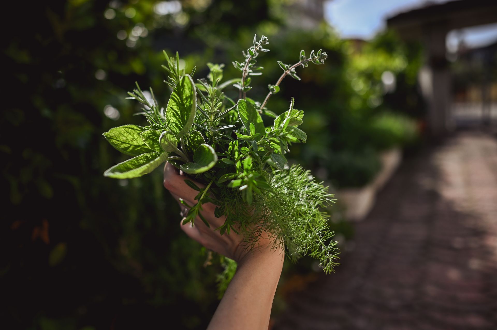 Una persona tiene in mano un mazzo di piante verdi.
