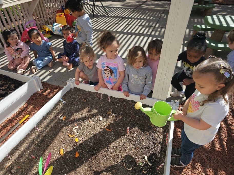 A group of young children are playing in a sandbox