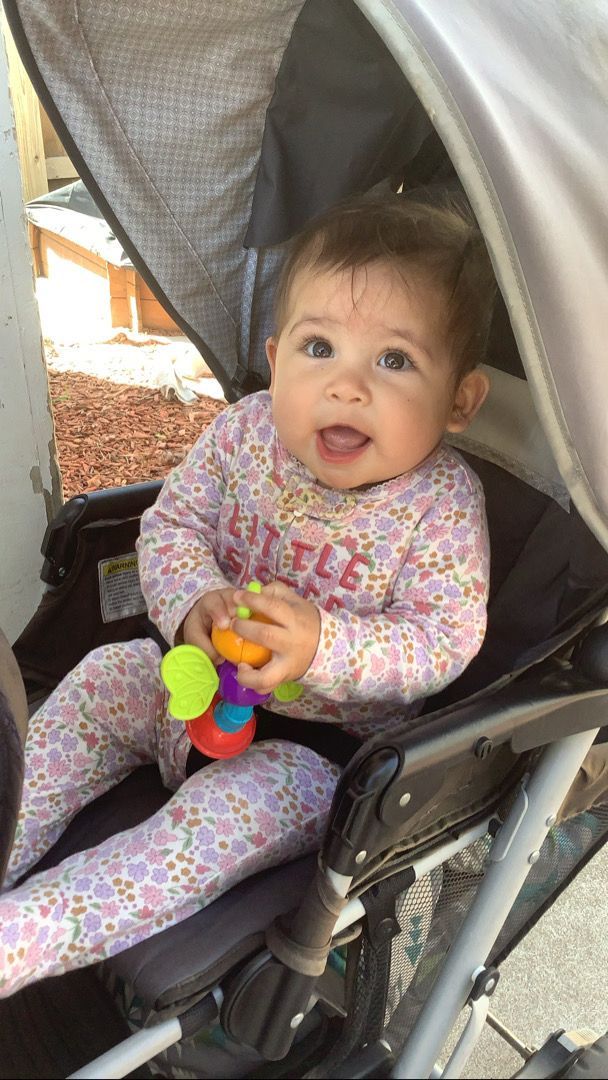 A baby is sitting in a stroller holding a toy.