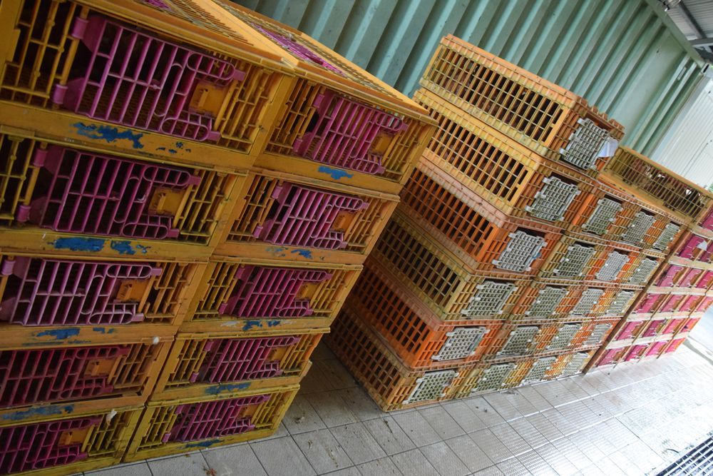 Un tas de caisses en plastique sont empilées les unes sur les autres dans une pièce.