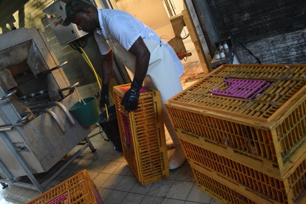 Un homme en tablier blanc pousse une caisse jaune dans une cuisine.