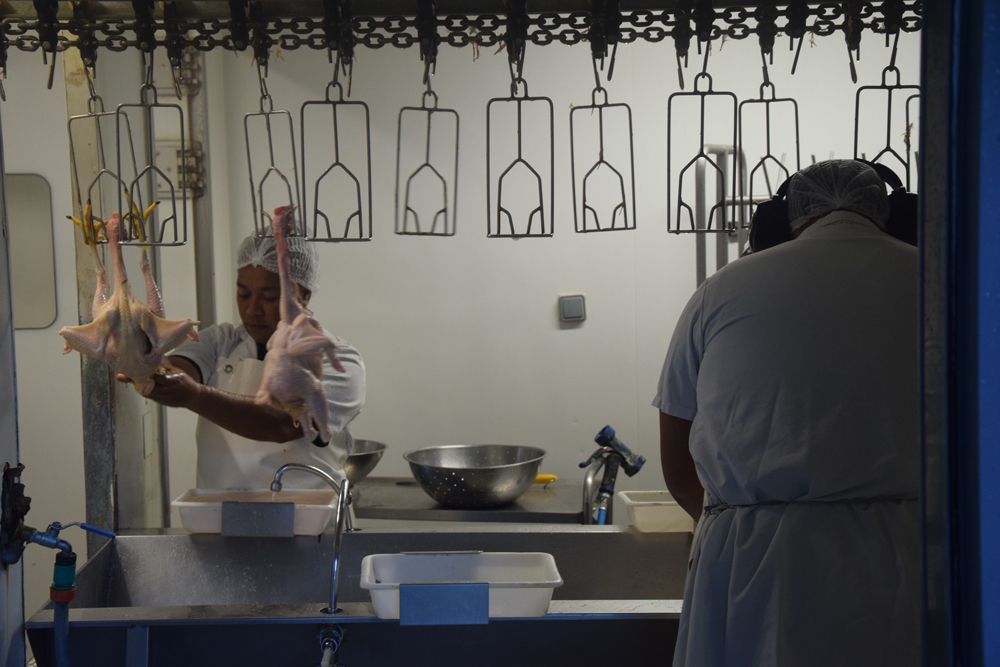 Un homme est debout dans une cuisine tenant un poulet.