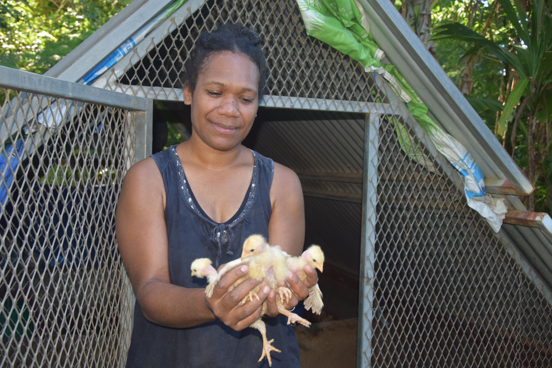 Une femme tient trois poussins devant un poulailler.