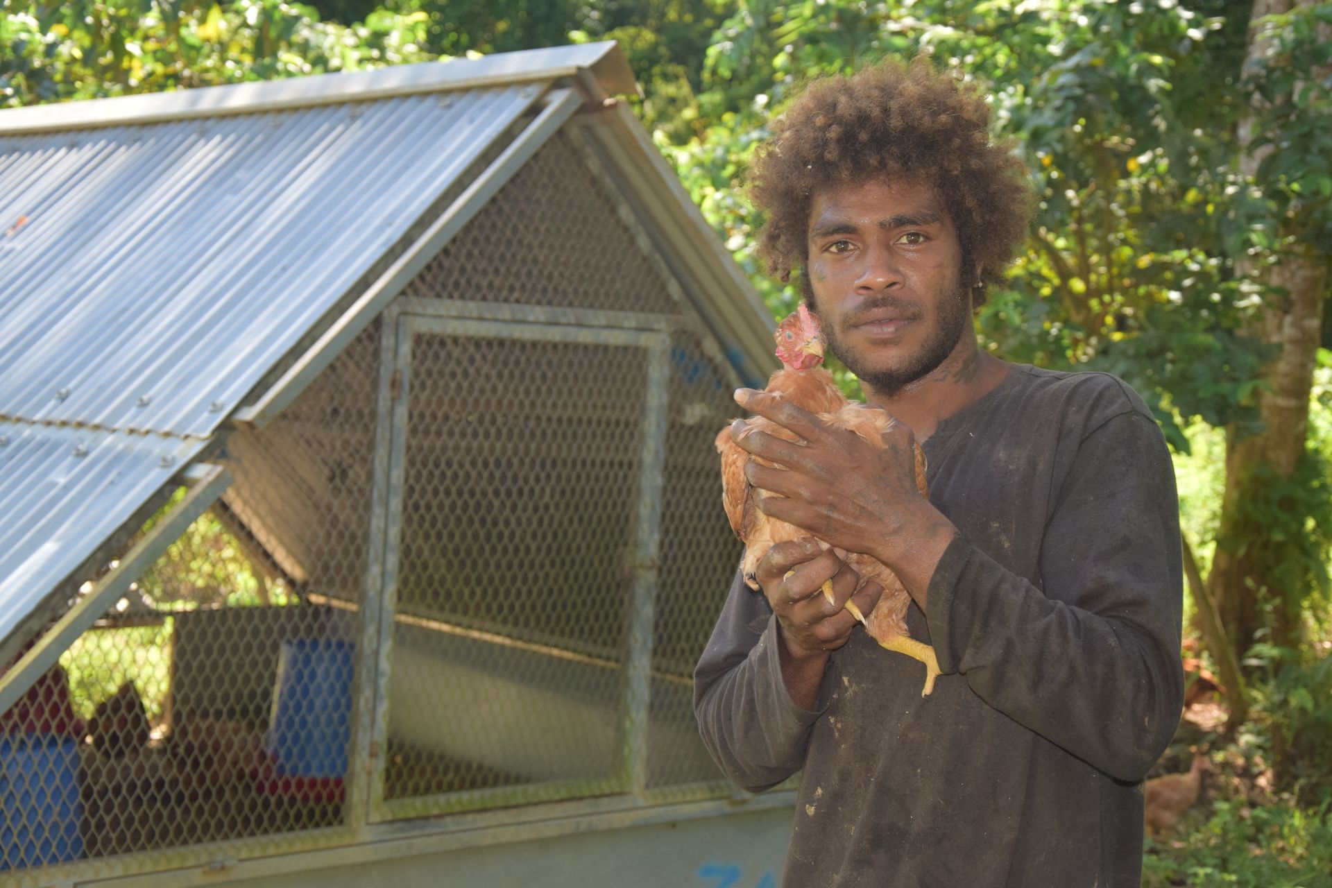 Un homme tient un poulet devant un poulailler.
