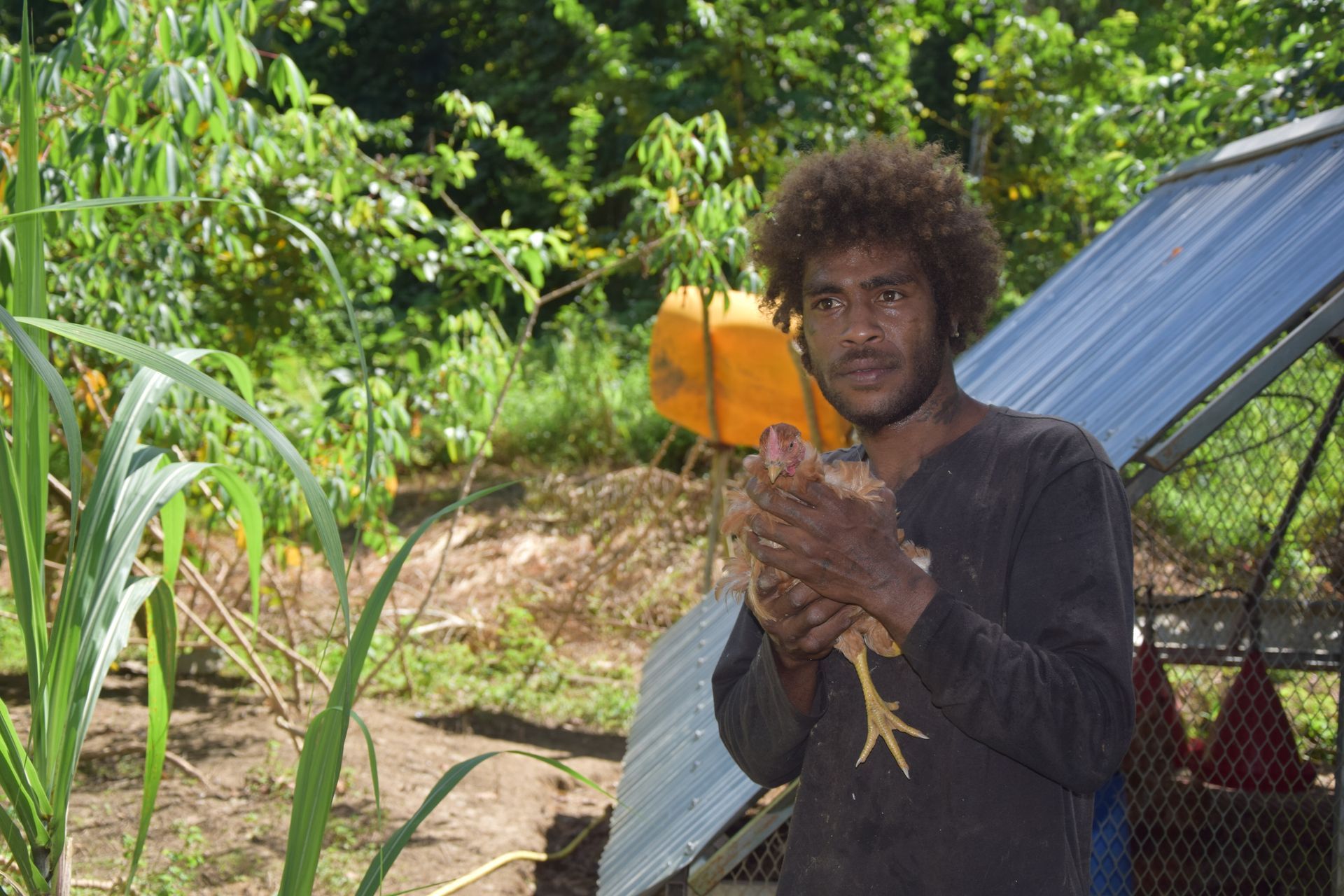 Un homme tient un poulet dans ses mains dans un champ.