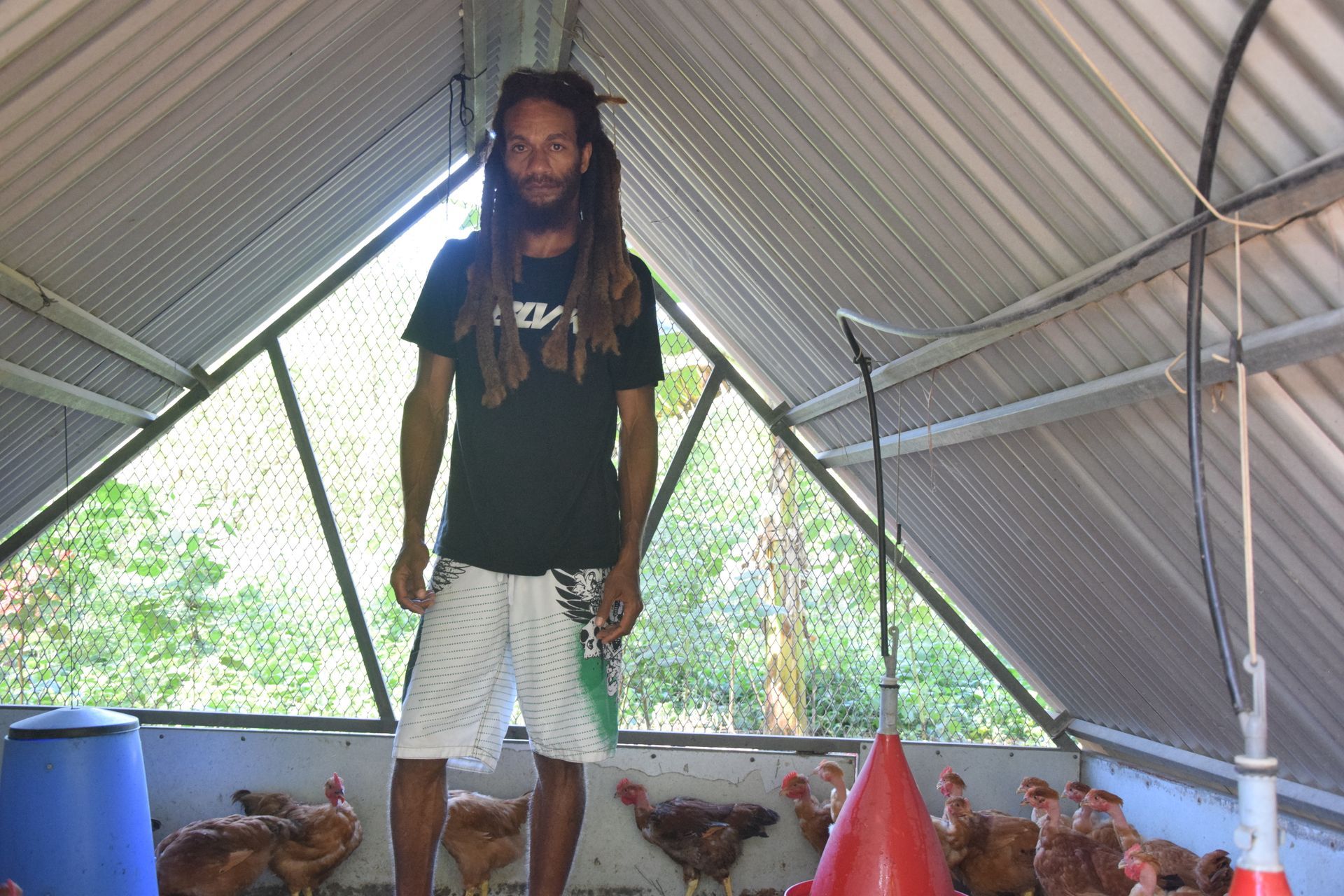Un homme avec des dreadlocks se tient dans un poulailler entouré de poulets