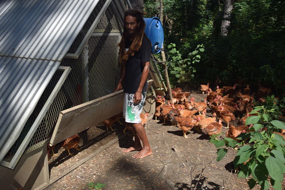 Un homme debout devant un poulailler entouré de poulets