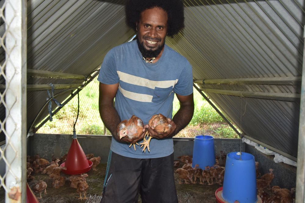 Un homme en chemise bleue tient deux poulets dans un poulailler.