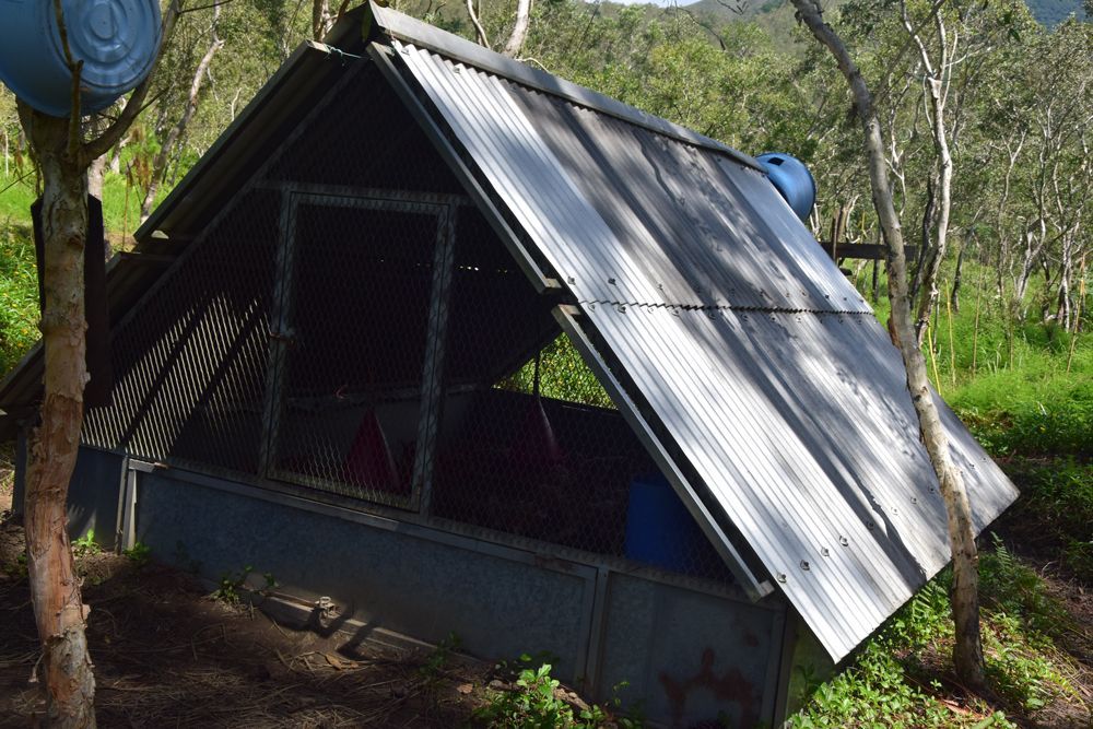 Une petite maison avec un toit en tôle se trouve au milieu d'une forêt.