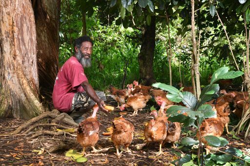 Un homme en chemise rouge nourrit des poulets dans les bois.