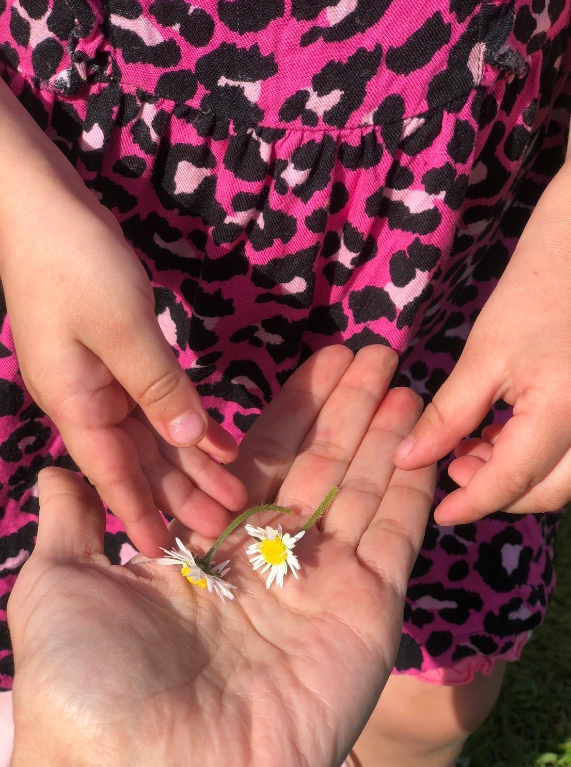 daughter in a pink leopard dress