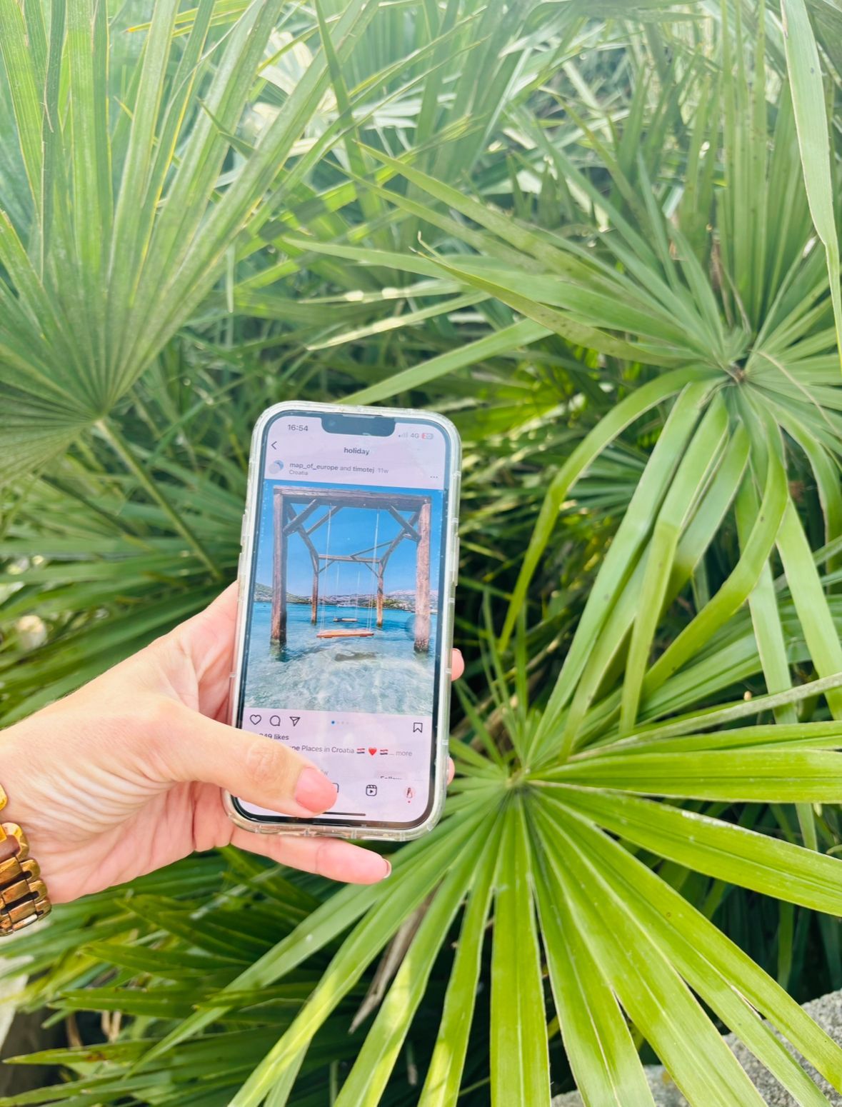 holiday image instagram palm tree