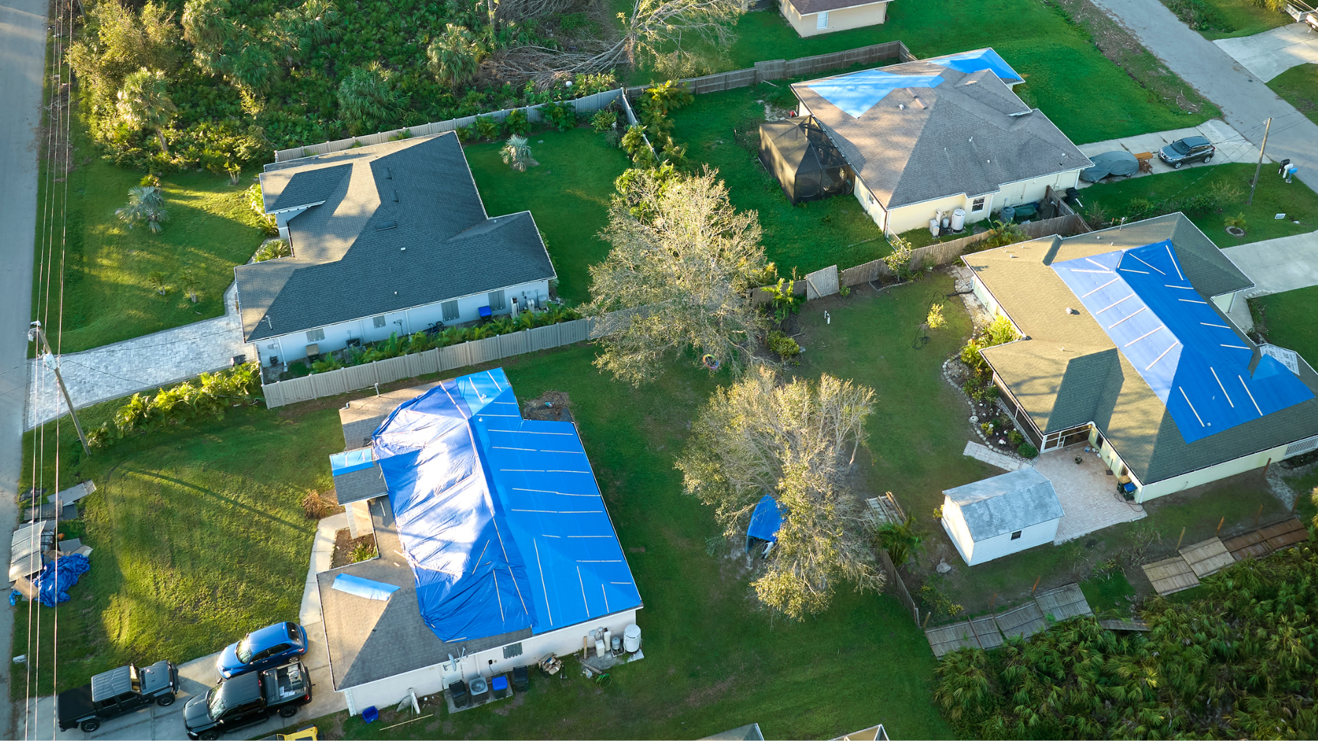 An aerial view of a residential neighborhood with houses covered in blue tarps.