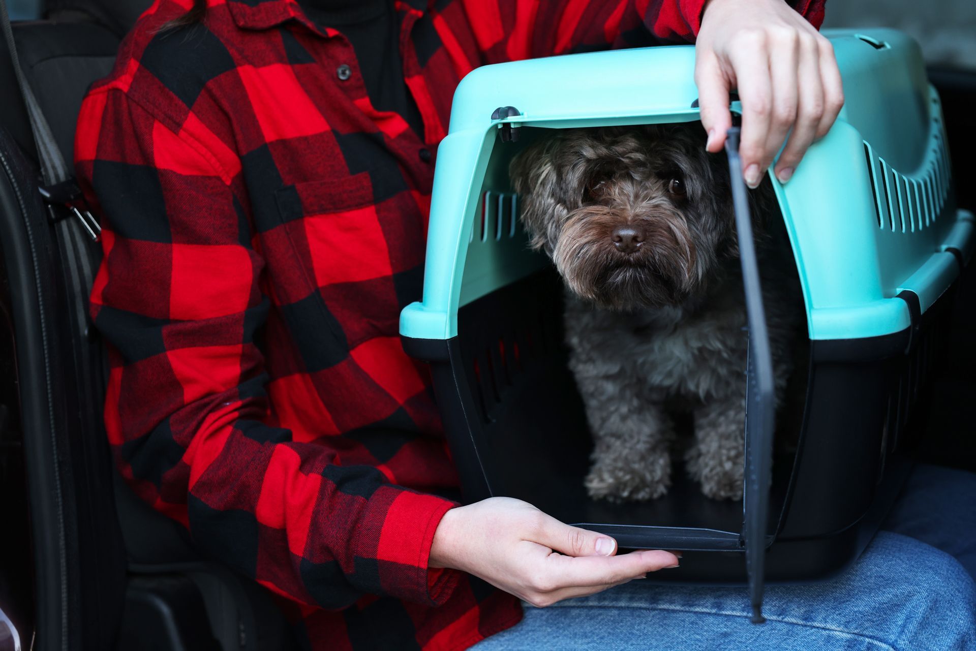 Woman With Pet Carrier Travelling With Her Dog