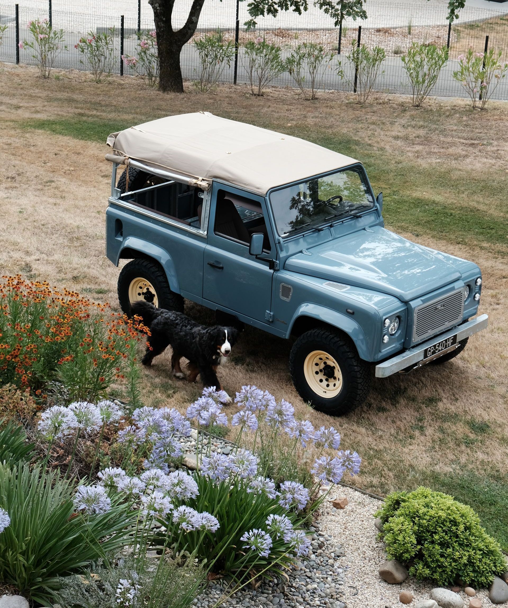 Land Rover bleu garé sur l'herbe, un chien renifle des fleurs à proximité.