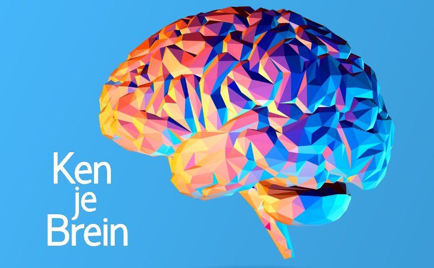 Ken je Brein geeft inspirerende, praktische trainingen over het brein.