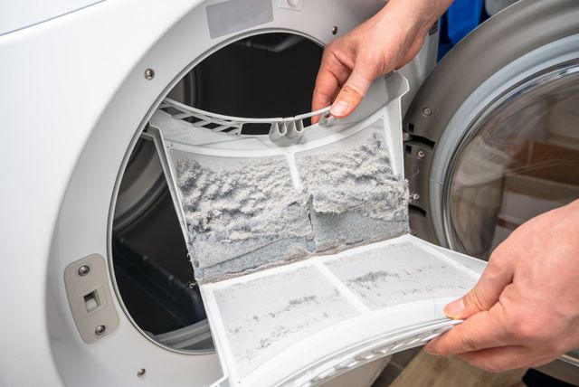 Whatever happened to washing machine lint filters?