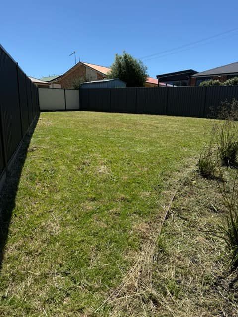 A backyard with a fence and a lot of grass