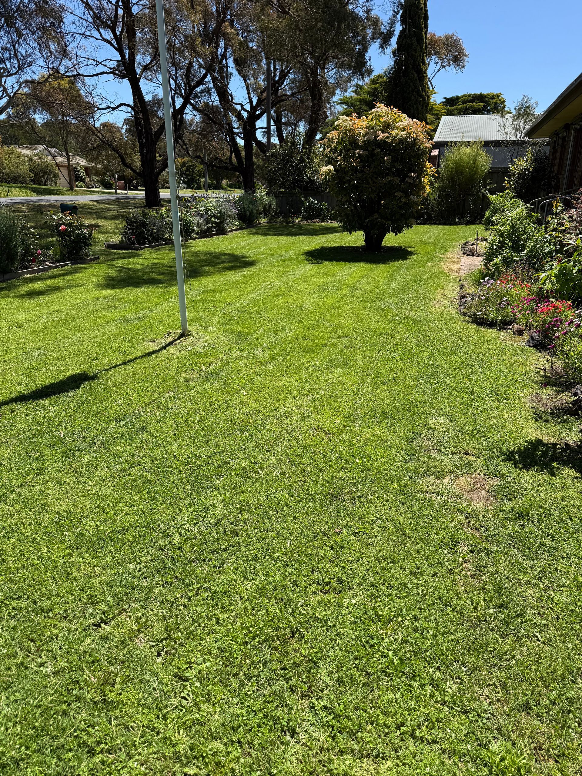 Before and after overgrown bush removal