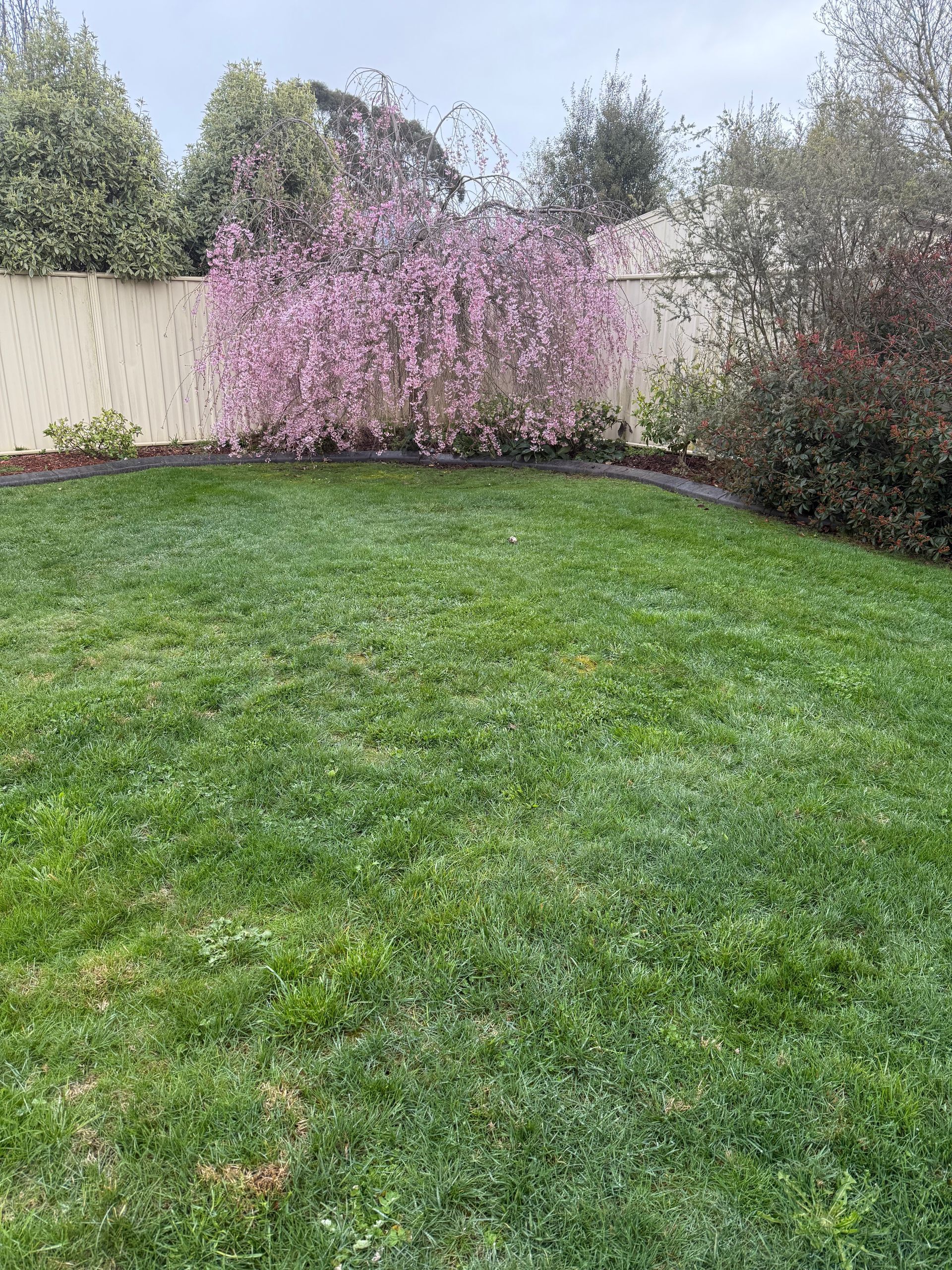Spring blooms and fresh cut lawn