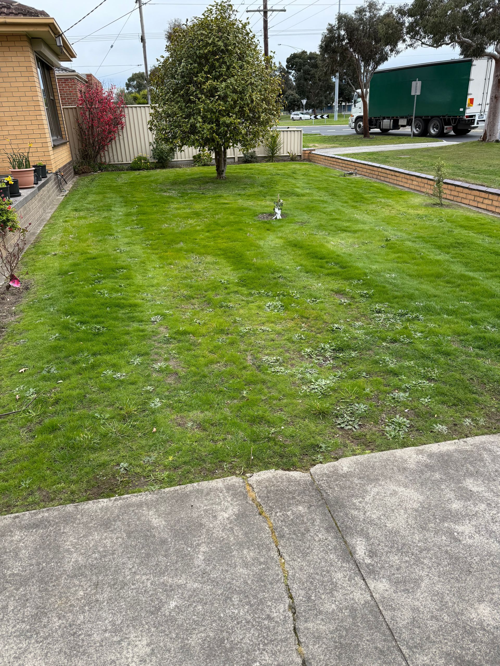 Cut lawn