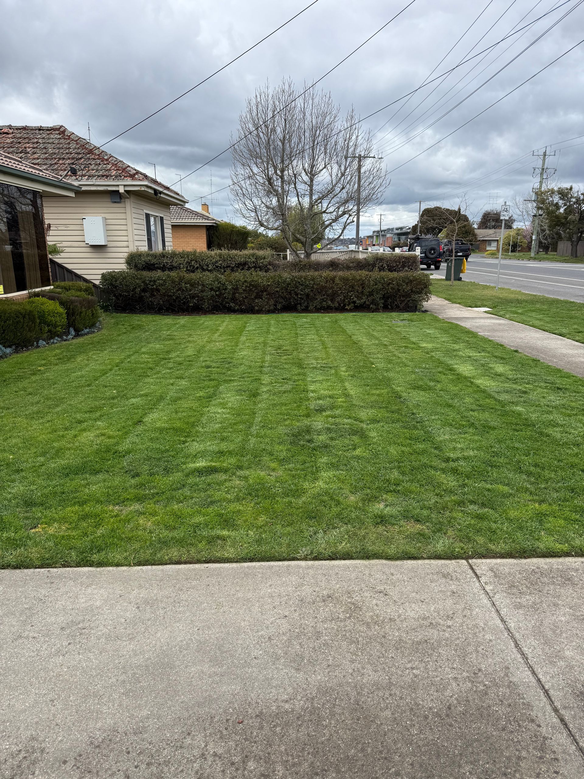 Fresh cut lawn mowing Ballarat